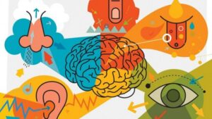 Lee más sobre el artículo Atrévete a crear efectos sensoriales para lograr una “brand experience” inolvidable